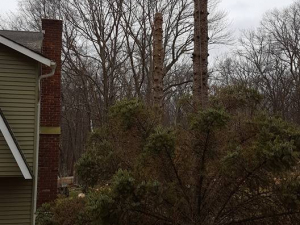 464869100_8704440109579110_2300843768280088635_n