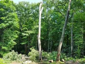 464871173_8683749164981538_5498462391331496857_n