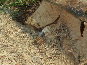 464911504_8690425654313889_8240698181949114174_n