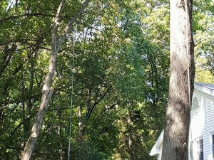 464913158_8685506091472512_5708514382957391905_n