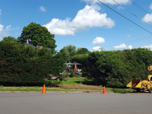 464919477_8689550607734727_808542119954044915_n