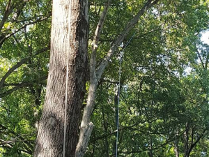 464921598_8685506081472513_848852513563515203_n