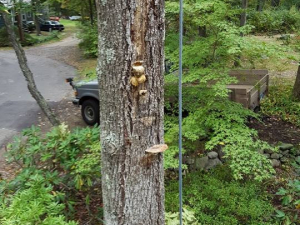 464924048_8691625294193925_1419883464497822027_n