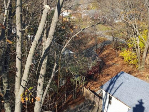 464946554_8695569950466126_690819592046347510_n