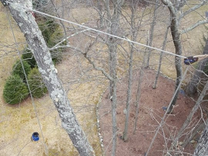 464956279_8702936683062786_102988226004188875_n