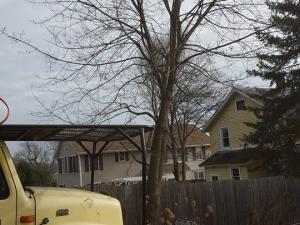 464968588_8698593833497071_7265371317003022559_n