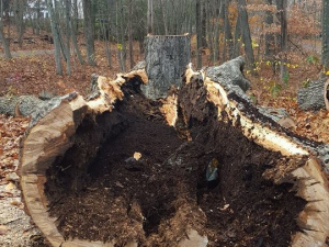 464969867_8695339753822479_5952426249781680_n