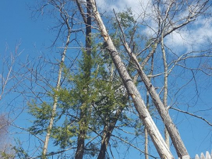 464974606_8703800959643025_2221513804667349471_n