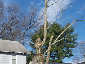 464992115_8703259026363885_6734391099651382034_n