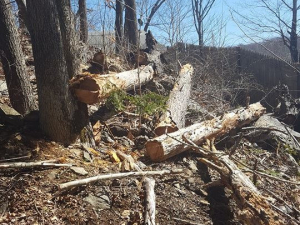 465008178_8703803136309474_4800124531489557909_n