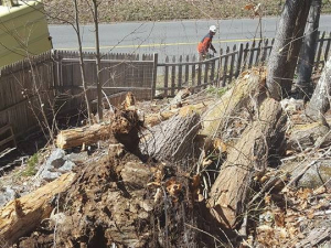 465008780_8703803129642808_5694319536279630030_n