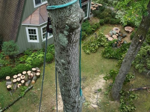 465011338_8691625290860592_6477989795862981246_n