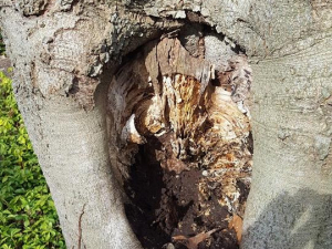 465011358_8703934906296297_8761583352972428456_n