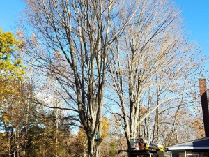 465013197_8692763574080097_1989399332616096404_n