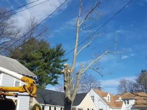 465013269_8703258796363908_509401856569383036_n