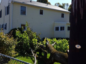 465024516_8692193610803760_1775112123978057412_n