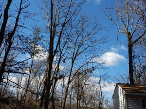 465028371_8702410533115401_2137724785528404101_n