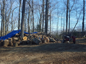 465033916_8698266376863150_8904624560367006591_n