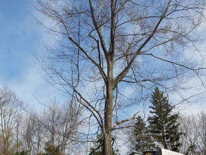 465033924_8703935232962931_6281462477287750326_n