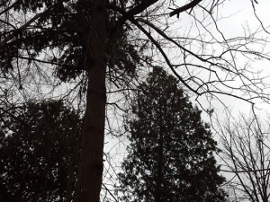 465035776_8702386933117761_8488824978775579934_n