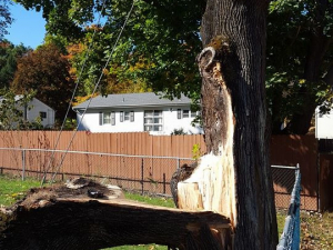 465041976_8692193614137093_6834081865268262628_n