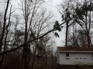 465046032_8702386906451097_5637701334182370584_n