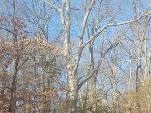 465049999_8698161486873639_8552618107862750641_n