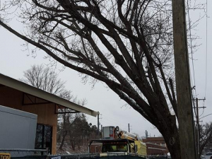 465060367_8702688383087616_3054351129004610758_n