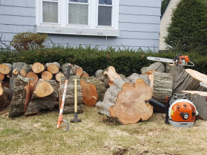 465060498_8703290986360689_4455288368974948766_n