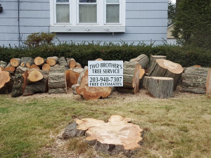 465066133_8703403956349392_5517213998359588730_n