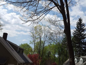 465068025_8706038046085983_4683778969654843422_n