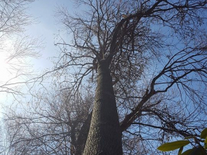 465116285_8703859986303789_7247739248110088426_n