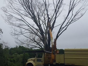 465117671_8709662992390155_1078309584724980132_n