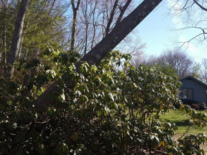 465118784_8703859982970456_1546512632774168776_n