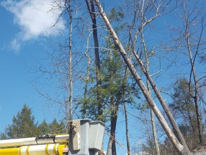 465120463_8703800966309691_4798351044007965310_n