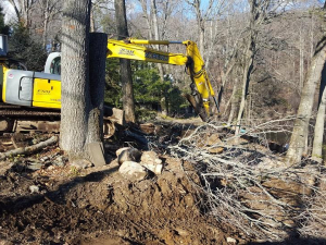 465123492_8702593519763769_2551657528856627418_n