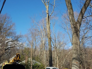 465124870_8702593523097102_870705744931084001_n