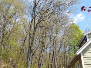 465131065_8706038072752647_8957794976676508901_n