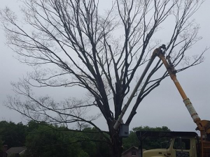 465143782_8709662969056824_6233893490653668908_n