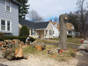 465148765_8703261463030308_5750280361130528919_n