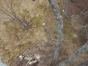 465152257_8702936686396119_3650320106453957765_n