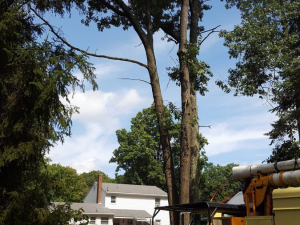 465156751_8716960861660368_8983528789471847118_n