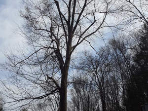 465157487_8703934919629629_6726302282076026938_n