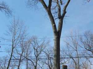 465210623_8702593526430435_2657903203944595210_n