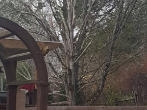 465235929_8721493221207132_7908278604656740886_n