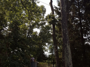 465238377_8716960854993702_2539235243302000014_n