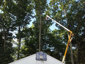 465240087_8716960848327036_1308956395137640442_n