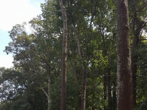 465262910_8716960864993701_8319269844396167530_n