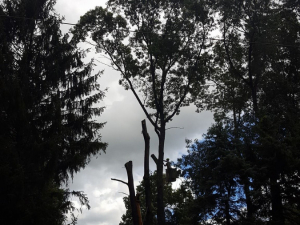 465274064_8717269344962853_100256022930076227_n