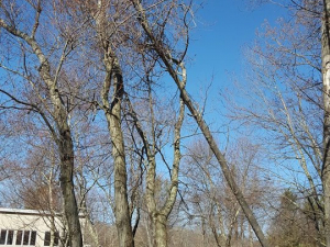 465274782_8703860002970454_9038242560865739491_n